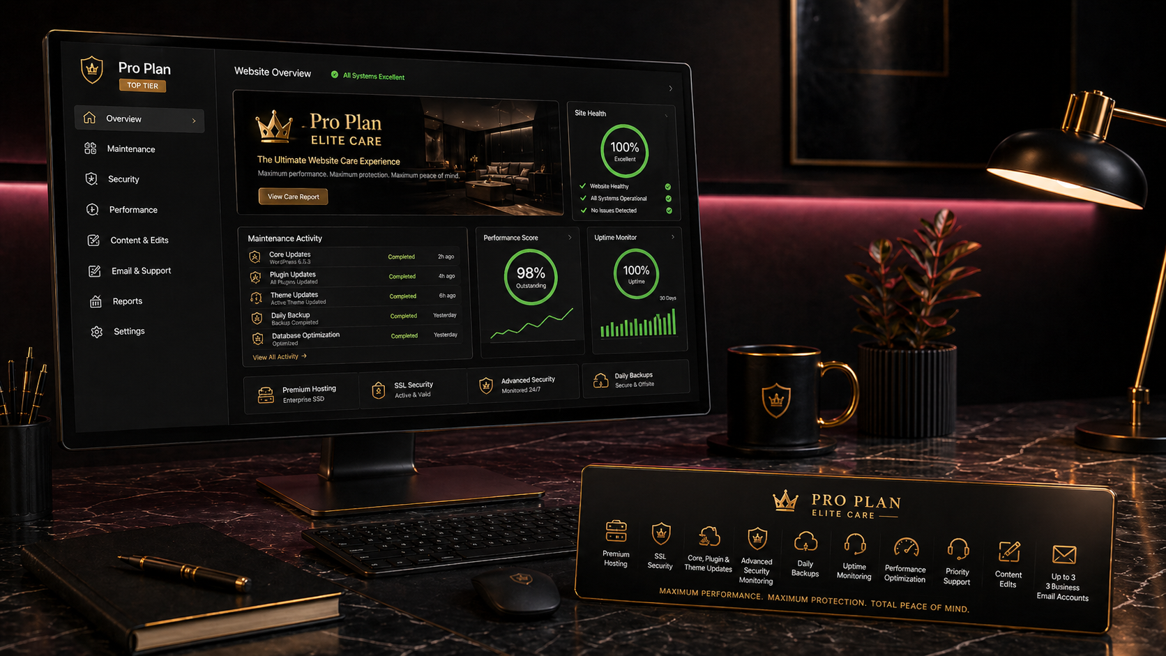 Premium Care website maintenance service image